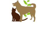 動物病院京都求人サイト